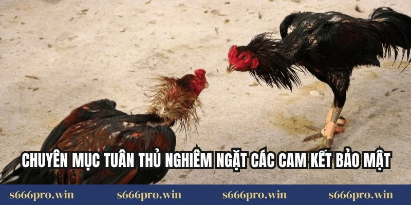 Chuyên mục tuân thủ nghiêm ngặt các cam kết bảo mật