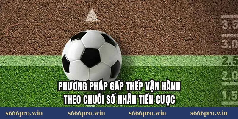 Phương pháp gấp thếp vận hành theo chuỗi số nhân tiền cược